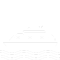 icon_Ferries- Ropax_white